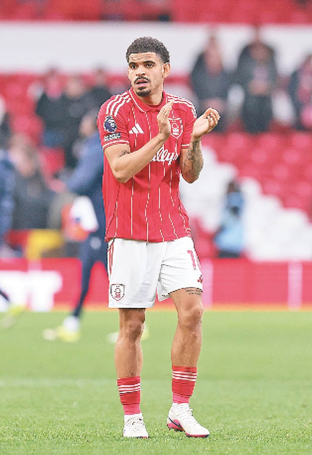 森林中場 基比斯韋特41p3.jpg