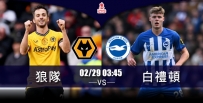 [澳彩]英足盃：白禮頓期待戰勝狼隊[02-28]
